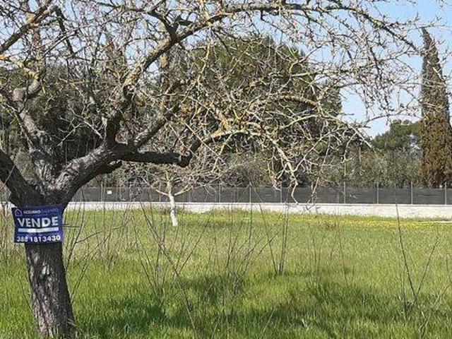 Terreno in vendita a Puglia, Brindisi