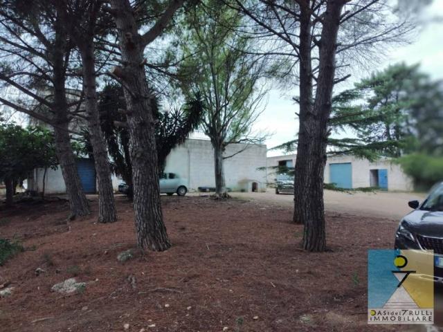 Terreno in vendita a Puglia, Brindisi
