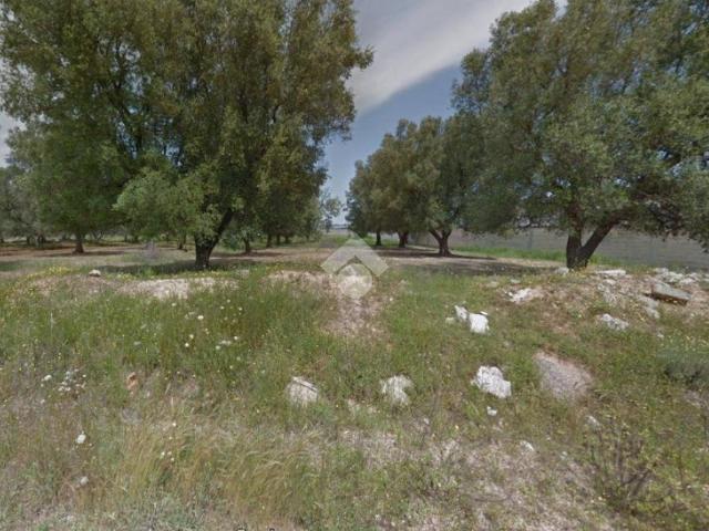 Terreno in vendita a Puglia, Brindisi