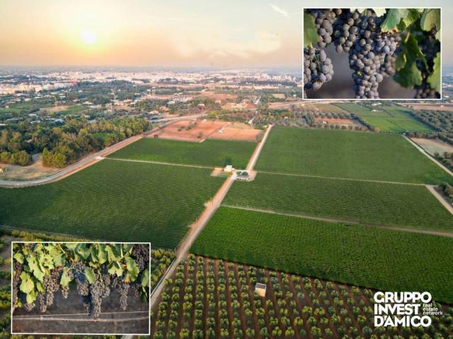 Terreno in vendita a Puglia, Brindisi