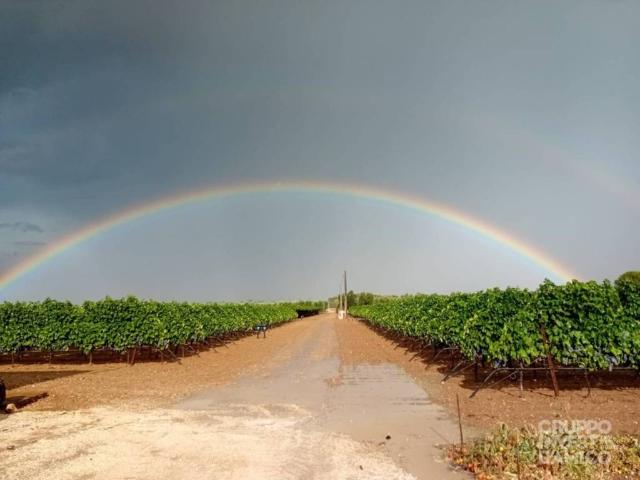 Terreno in vendita a Puglia, Brindisi