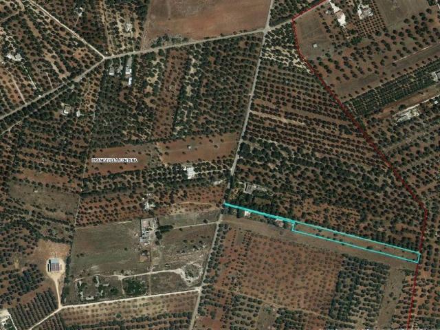 Terreno in vendita a Puglia, Brindisi