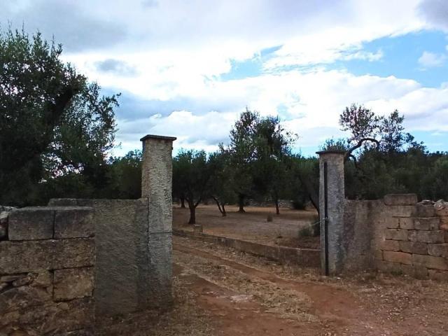 Terreno in vendita a Puglia, Brindisi