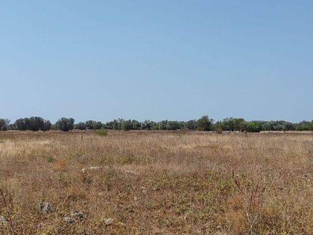 Terreno in vendita a Puglia, Brindisi