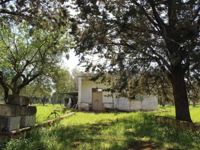 Terreno in vendita a Puglia, Brindisi