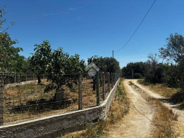 Terreno in vendita a Puglia, Brindisi