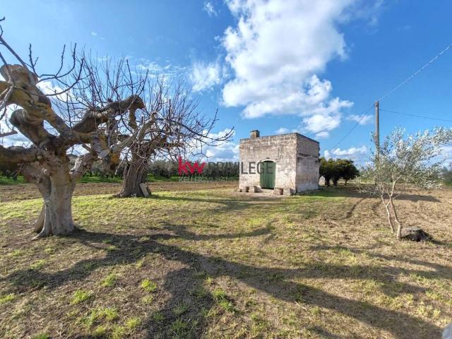 Terreno in vendita a Puglia, Brindisi