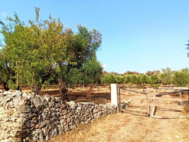 Terreno in vendita a Puglia, Brindisi