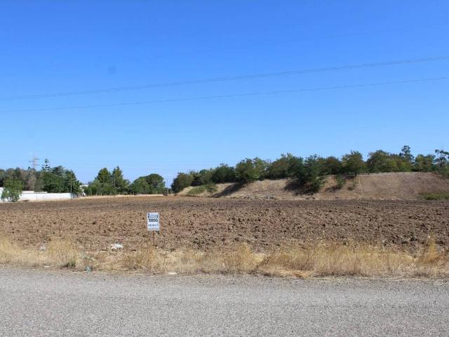 Terreno in vendita a Puglia, Brindisi