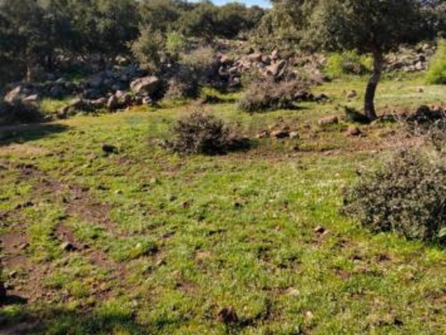 Terreno in vendita a Francofonte, Sicilia