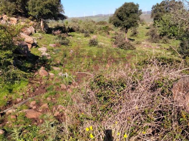 Terreno in vendita a Francofonte, Sicilia