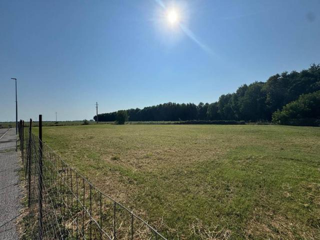 Terreno in vendita a Frassinelle Polesine, Veneto
