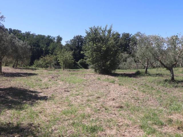 Terreno in vendita a Frasso Telesino, Campania