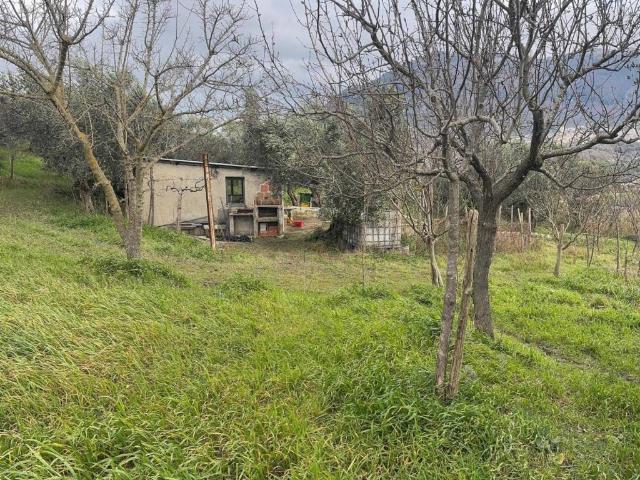 Terreno in vendita a Frasso Telesino, Campania
