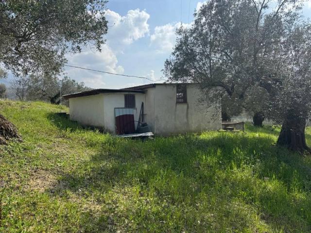 Terreno in vendita a Frasso Telesino, Campania