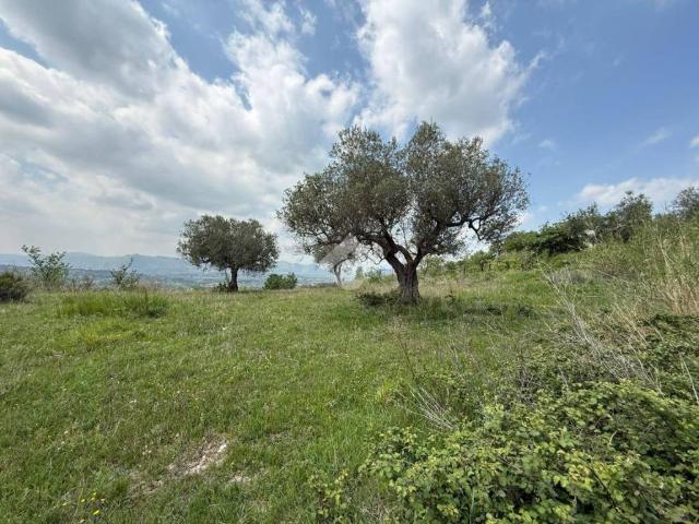 Terreno in vendita a Frasso Telesino, Campania