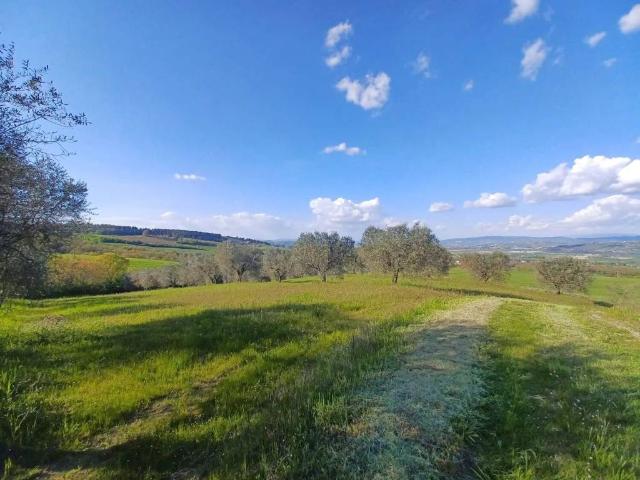 Terreno in vendita a Fratta Todina, Umbria