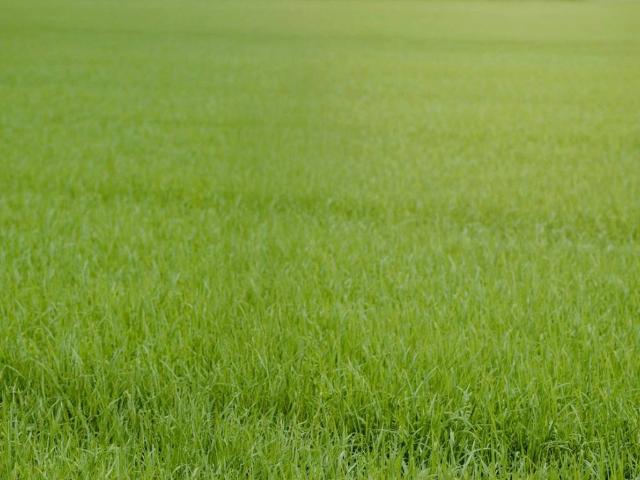 Terreno in vendita a Fregona, Veneto