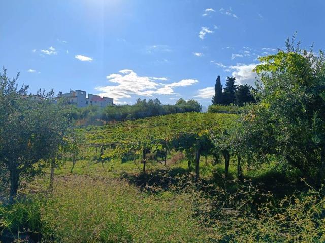 Terreno in vendita a Frisa, Abruzzo