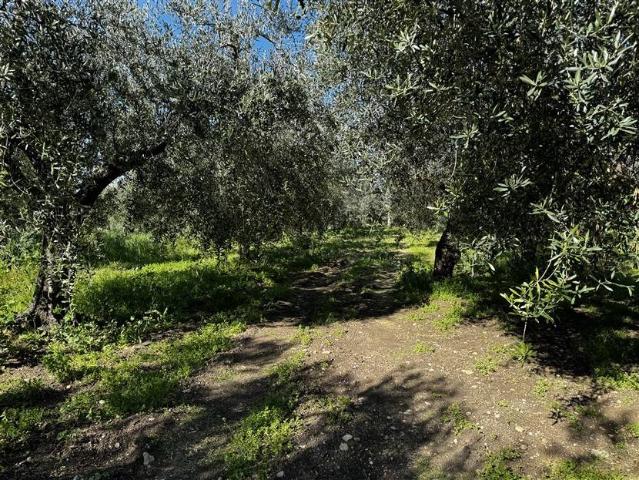 Terreno in vendita a Frisa, Abruzzo