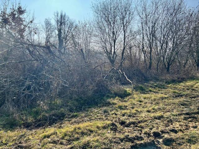 Terreno in vendita a Piemonte, Torino