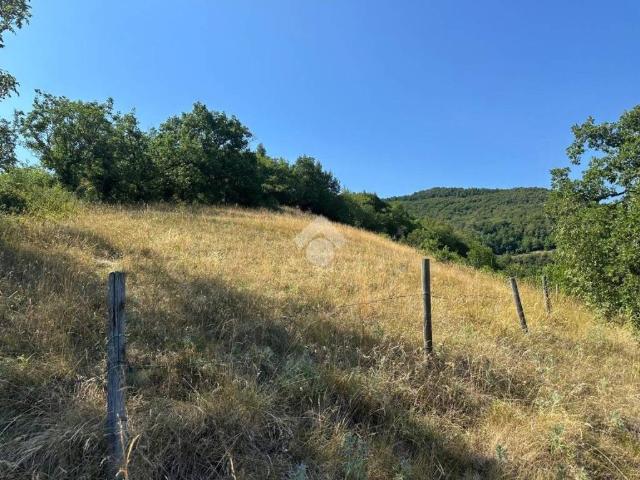 Terreno in vendita a Fumane, Veneto