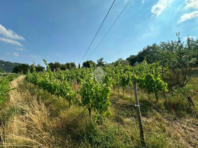 Terreno in vendita a Fumane, Veneto