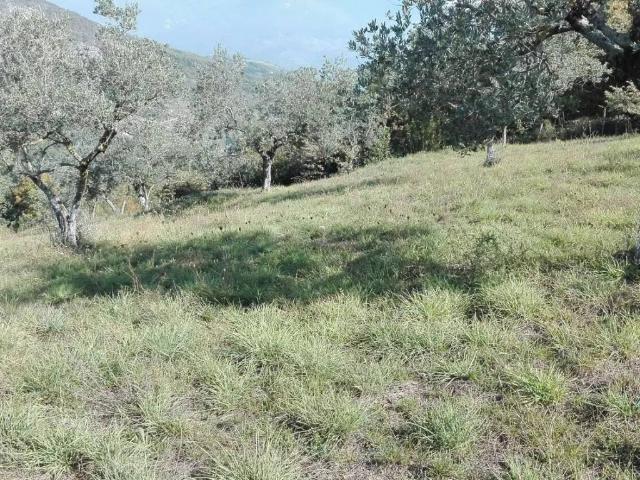 Terreno in vendita a Fumone, Lazio