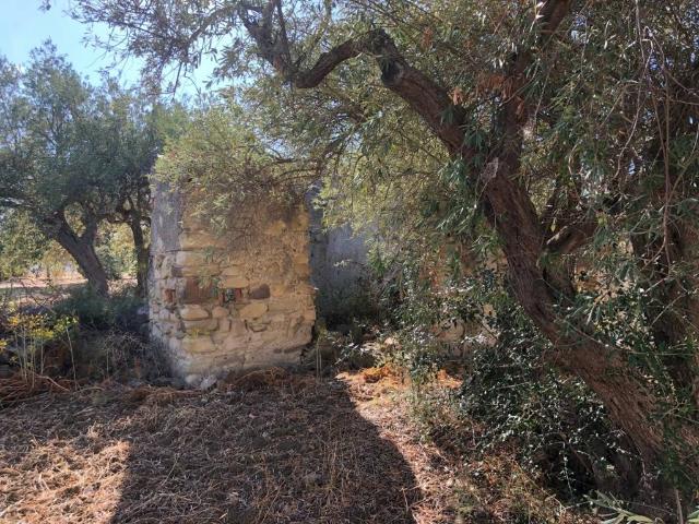 Terreno in vendita a San Filippo, Furnari