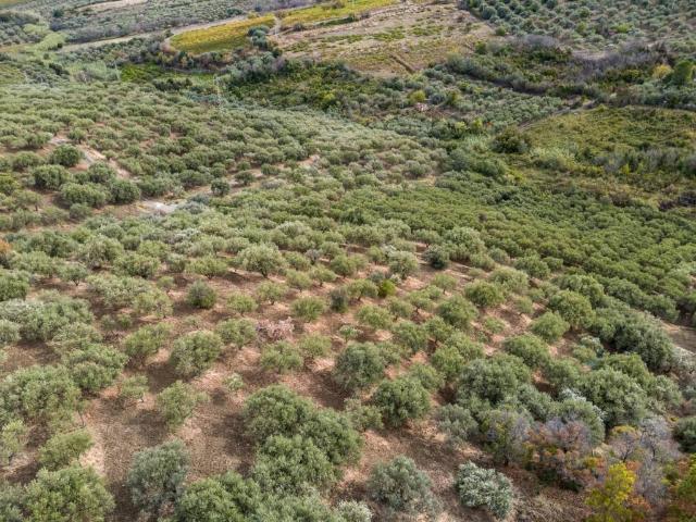 Terreno in vendita a Campogrande, Tripi-Abakainon