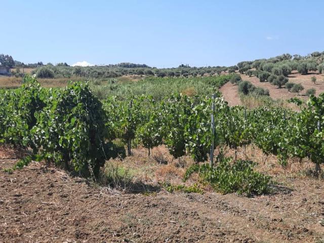 Terreno in vendita a Furnari, Sicilia