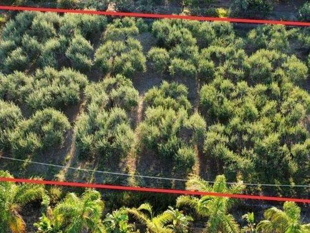 Terreno in vendita a San Filippo, Furnari