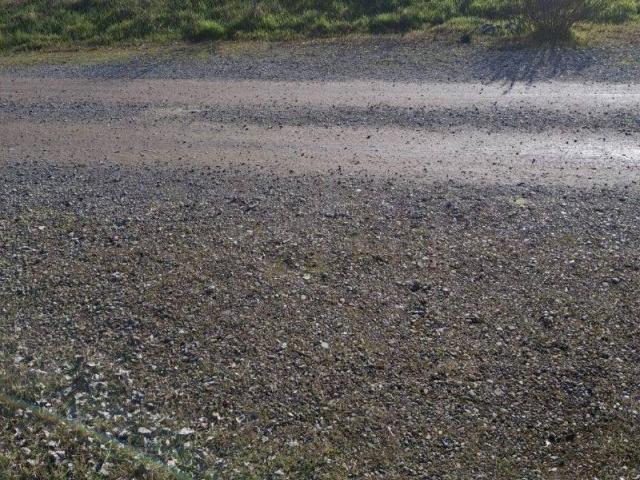 Terreno in vendita a Unione dei comuni della Bassa Romagna, Fusignano