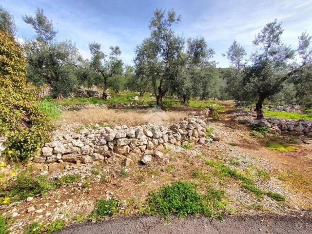 Terreno in vendita a Gaeta, Lazio