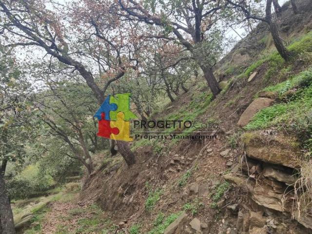 Terreno in vendita a Gaggi, Sicilia