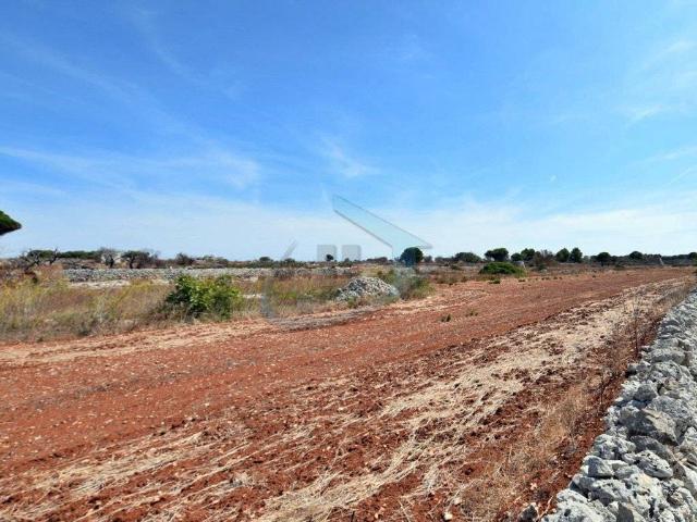 Terreno in vendita a Puglia, Lecce