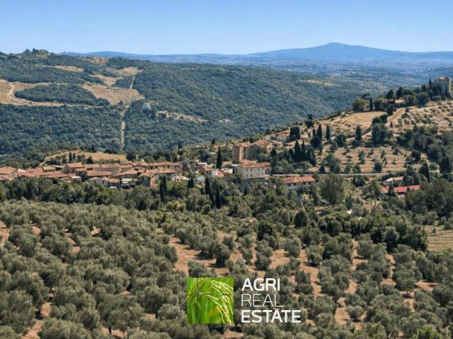 Terreno in vendita a Gaiole In Chianti, Toscana