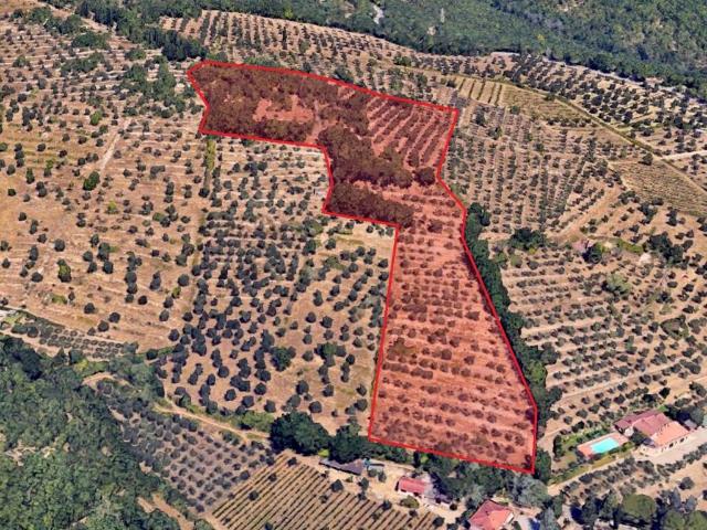 Terreno in vendita a Gaiole In Chianti, Toscana