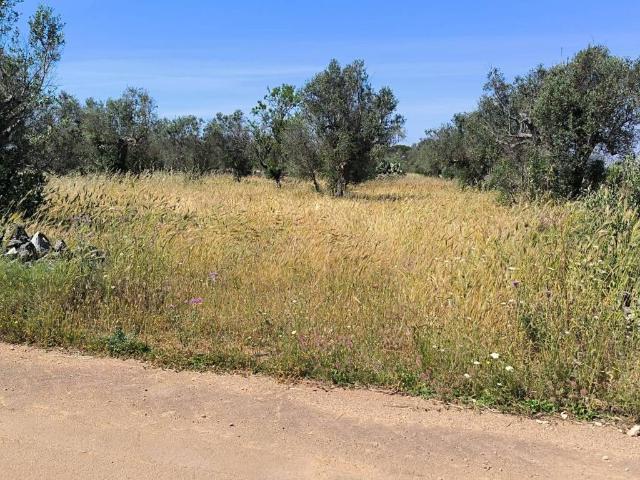 Terreno in vendita a Puglia, Lecce