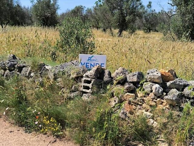 Terreno in vendita a Puglia, Lecce