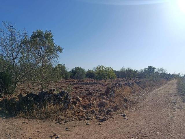 Terreno in vendita a Puglia, Lecce