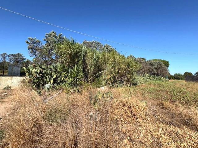 Terreno in vendita a Puglia, Lecce