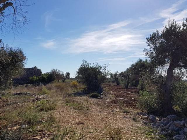 Terreno in vendita a Puglia, Lecce
