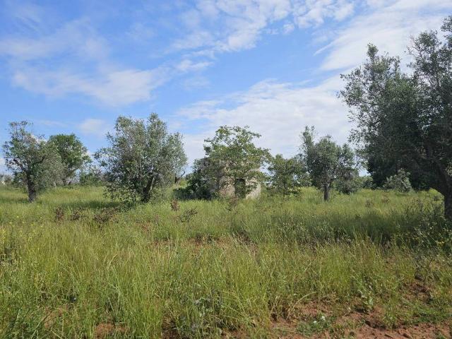 Terreno in vendita a Puglia, Lecce
