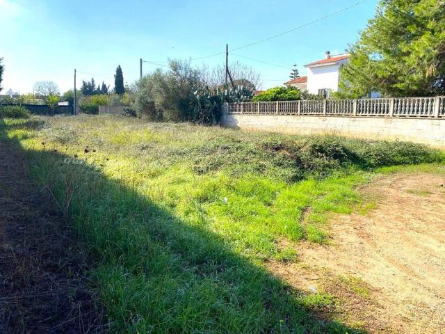 Terreno in vendita a Puglia, Lecce