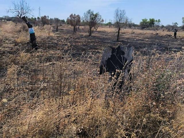 Terreno in vendita a Puglia, Lecce