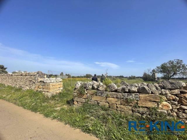 Terreno in vendita a Puglia, Lecce