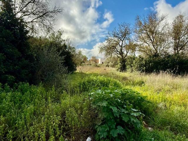 Terreno in vendita a Puglia, Lecce