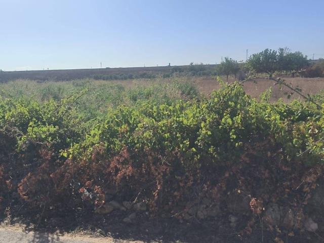 Terreno in vendita a Puglia, Lecce