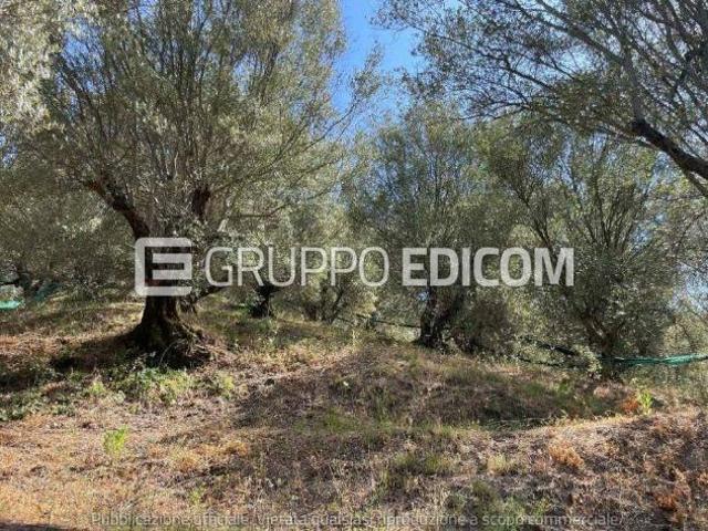 Terreno in vendita a Calabria, Reggio Calabria